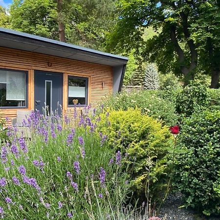 Das Ferienhaus Am Tiergarten Wernigerode Dış mekan fotoğraf