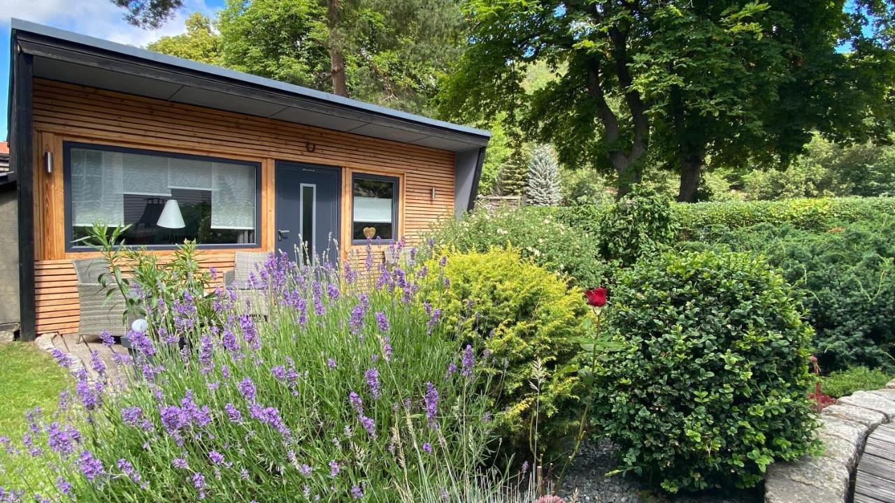 Das Ferienhaus Am Tiergarten Wernigerode Dış mekan fotoğraf